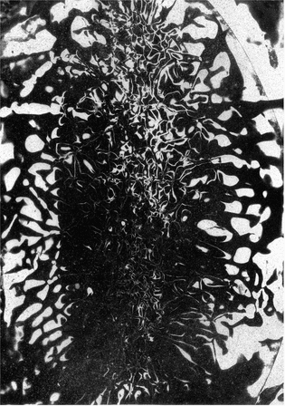 Abysses III