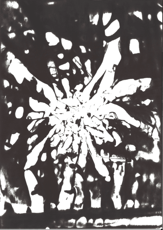 Abysses-Espoir III