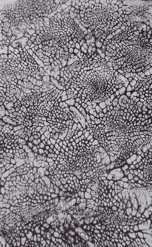 Cellulaire Macro II