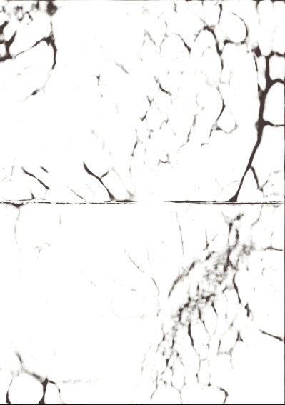 Cellulaire Rorschach
