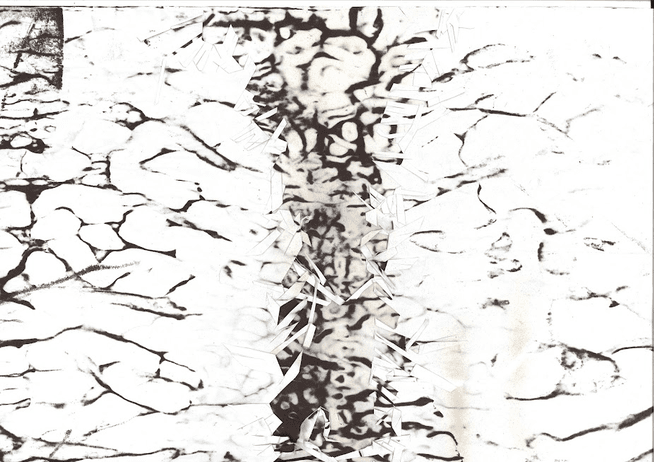 Cellulaire Cicatriciel II