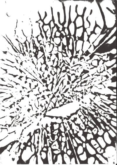Lumière Rayon III